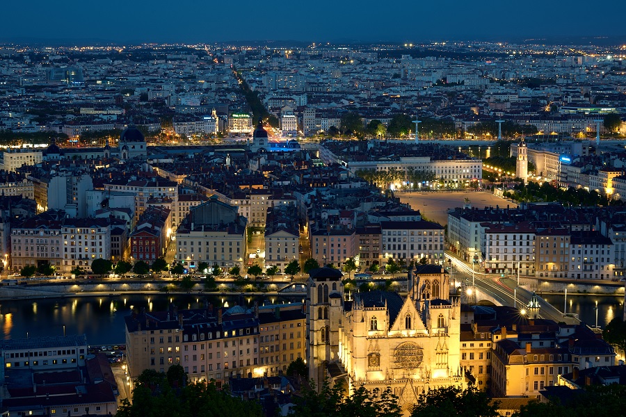 Fonctionnement de la fourrière municipale de Lyon